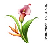 Digital Botanical Illustration  ...