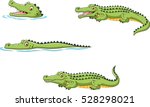  Crocodile Collection Set  