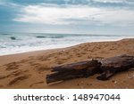 Wooden Log On The Sea Shore Sea ...