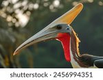 Quetzalcoatlus is a genus of...