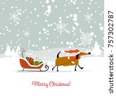 Christmas Card  Santa Dog With...
