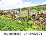 Overgrown Gate In Wharfedale In ...