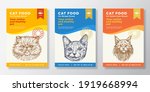 cat food label templates set.... | Shutterstock .eps vector #1919668994