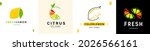 set abstract logo yellow lemon... | Shutterstock .eps vector #2026566161