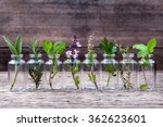 Bottle of essential oil with herbs holy basil flower, basil flower,rosemary,oregano, sage,parsley ,thyme and mint set up on old wooden background .