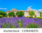 Lavender Field In The Monastery ...