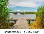 a wooden pier surrounded by reed on neusiedlersee in Austria.