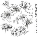 hand drawn flowers | Shutterstock .eps vector #180976997