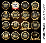 retro vintage badges and labels ... | Shutterstock .eps vector #1205799844