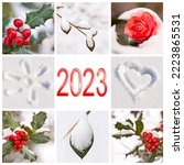 2023  Snow And Winter Red And...
