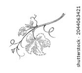 hand drawn monochrome branch of ... | Shutterstock .eps vector #2044063421