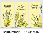 canola oil labels in vintage... | Shutterstock .eps vector #2149346087