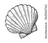 Scallop Sea Shell  Sketch Style ...