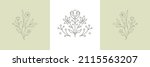 monochrome antique tropical... | Shutterstock .eps vector #2115563207