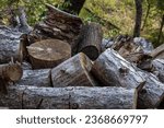 Stacked logs. A pile of stacked firewood, prepared for heating the house, Firewood harvested for heating in winter, Firewood stacked and prepared for winter Pile of wood logs.