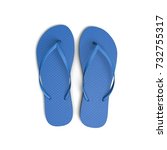 Blue Flip Flop Sandals On A...