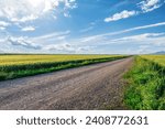 Small photo of Country gravel road and green wheat fields with sky clouds natural landscape under blue sky