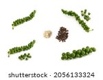 Collection of Green peppercorns (Green peppercorn to Powder peppercorn)