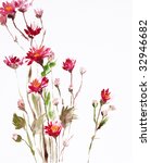 watercolor painting of flowers  ... | Shutterstock . vector #32946682