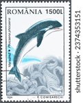Small photo of Romania - circa 1996 : Cancelled postage stamp printed by Romania, that shows Harbour Porpoise (Phocoena phocoena), circa 1996.