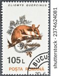 Small photo of Romania - circa 1993 : Cancelled postage stamp printed by Romania, that shows European Garden Dormouse (Eliomys quercinus), circa 1993.