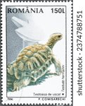 Small photo of Romania - circa 1996 : Cancelled postage stamp printed by Romania, that shows Hermann's Tortoise (Testudo hermanni), circa 1996.