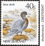 Small photo of New Zealand - circa 1987 : Cancelled postage stamp printed by New Zealand, that shows Blue Duck (Hymenolaimus malacorhynchos), circa 1987.