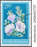 Small photo of Romania - circa 1979 : Cancelled postage stamp printed by Romania, that shows Persian bindweed (Convolvulus persicus), circa 1979.