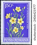 Small photo of Romania - circa 1979 : Cancelled postage stamp printed by Romania, that shows Linum pallasianum subsp. borzaeanum, circa 1979.