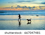 Silhouette Of A Man And Dog...