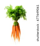 Bunch  Of New Carrots Isolated...