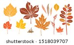 autumn orange leaves silhouette ... | Shutterstock .eps vector #1518039707