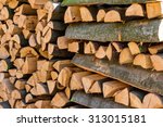 Small photo of trees in a forest have been recut at woodwork. natural, energy-efficient and sustainable heating.