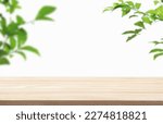 Small photo of Wood podium tabletop floor with tree branches green leaf on white background.Beauty cosmetic and healthy natural product placement pedestal platform showcase stand display,spring or summer concept.