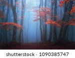 Fantasy Moody Forest In Autumn