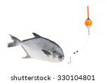 Fishing Concept  Fish Hook ...