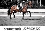 Dressage Horse With Rider In...