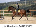 Small photo of Horse training with rider on the riding arena, galloping in a turn.