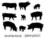 Set Of Pig Silhouettes. Vector...