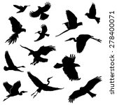 Set Of Flying Birds Silhouettes....