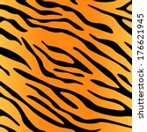 Tiger Background Free Stock Photo - Public Domain Pictures