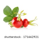 Rose Hips Isolated On White...