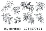 engraved olive branch. sketch... | Shutterstock .eps vector #1754677631