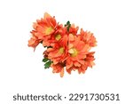 Bouquet of orange chrysanthemum ...