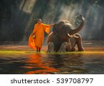 Elephant And Monk  Surin...