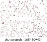 Small photo of Low magnification micrograph of lung parenchyma stained with orcein. The wall of the alveoli has many elastic fibers, especially around the alveoli openings.