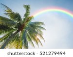 Coconut Tree And Rainbow 