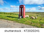 Sheep In A Red Telephone Box On ...