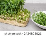 Small photo of These lush, edible sprouts symbolize health consciousness and sustainable food sourcing, perfect for modern culinary and lifestyle themes. Freshly snipped pea shoots lay scattered