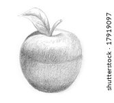 Lead Pencil Sketch Of An Apple.